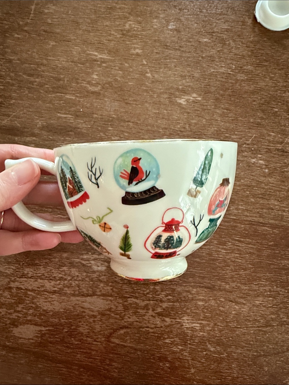 Snow globe coffee much, Quill & Fox for Anthropology